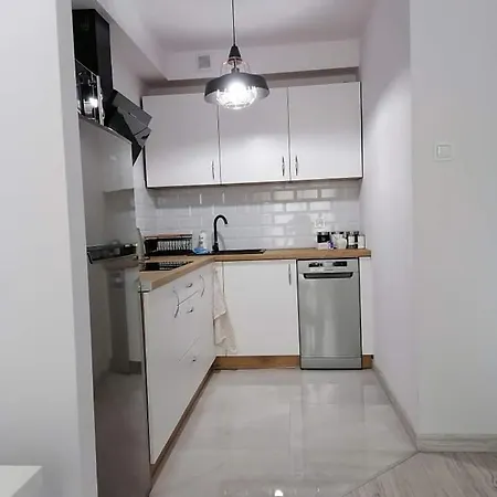 Nowoczesny Nad Lomnica アパート カルパッチ